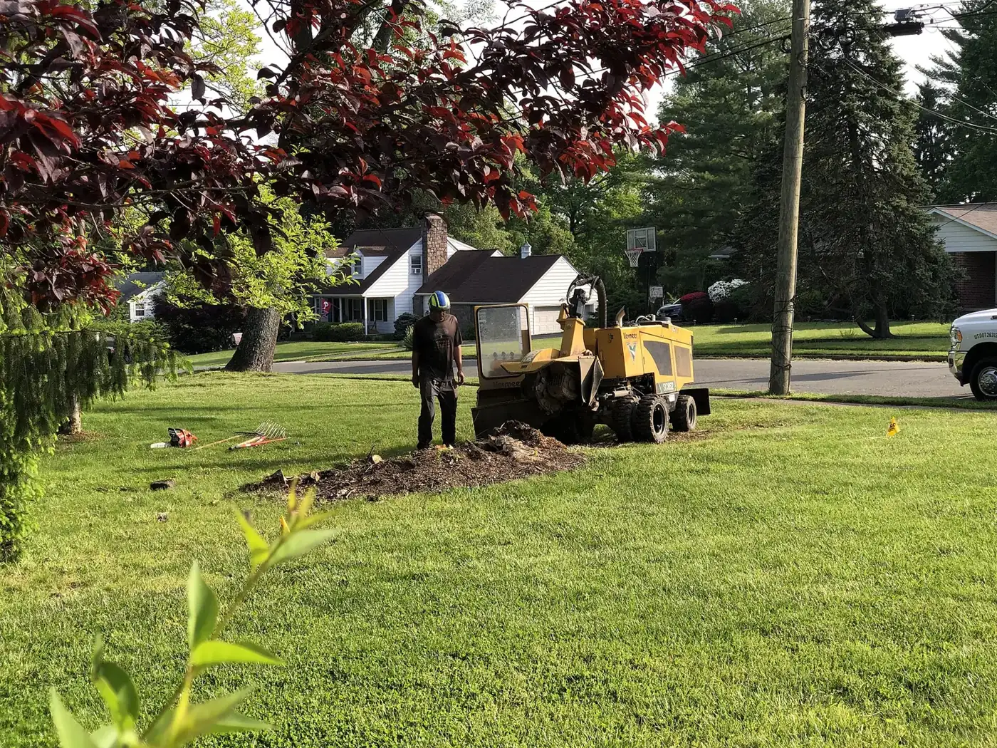 Compact stump grinder working on a cut stump in a grassy yard